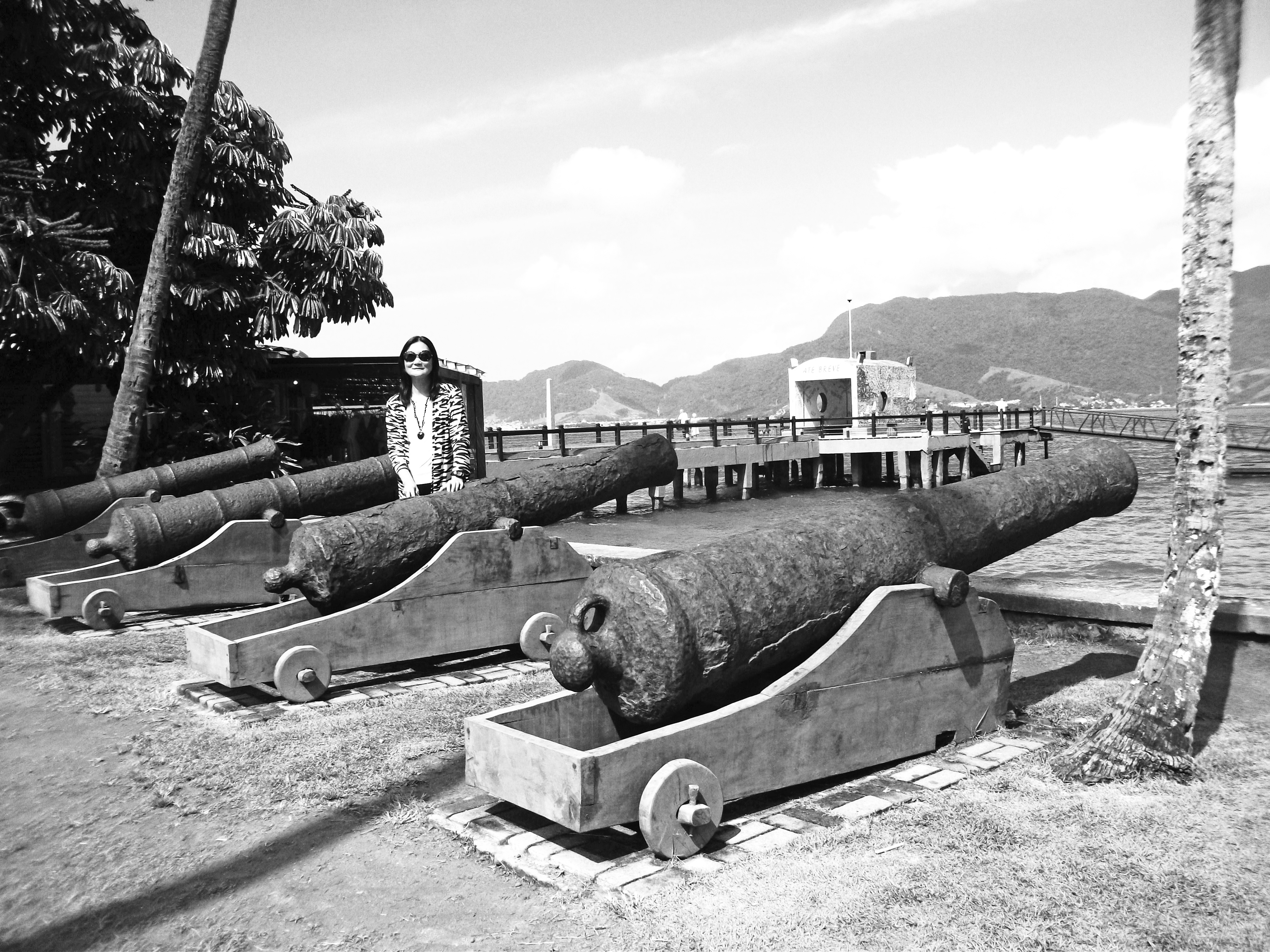 once upon a time, these old cannons along the seafront defended Ihlabela Island from pirates		width=